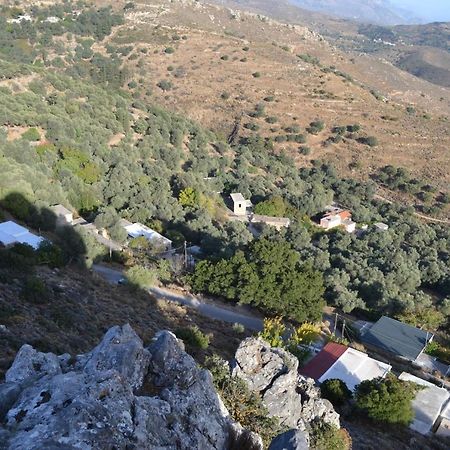 Garden Of Olive Trees Villa Asfendiles Exterior photo