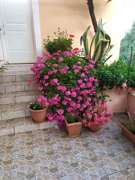 Garden Of Olive Trees Villa Asfendiles Exterior photo